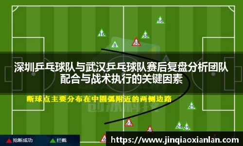 深圳乒乓球队与武汉乒乓球队赛后复盘分析团队配合与战术执行的关键因素